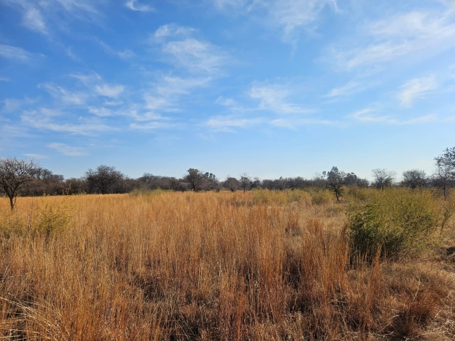 0 Bedroom Property for Sale in Lindequesdrif North West